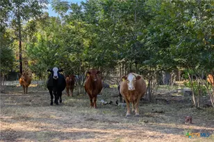 217 Robin Ranch Rd, Lockhart, TX 78644 - Photo 4