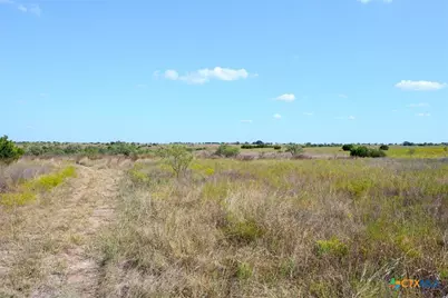 Tbd-61.63 Acres County Road 414, Jonesboro, TX 76538 - Photo 32