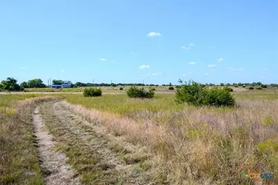 Tbd-61.63 Acres County Road 414, Jonesboro, TX 76538 - Photo 10