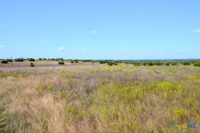 Tbd-61.63 Acres County Road 414, Jonesboro, TX 76538 - Photo 34