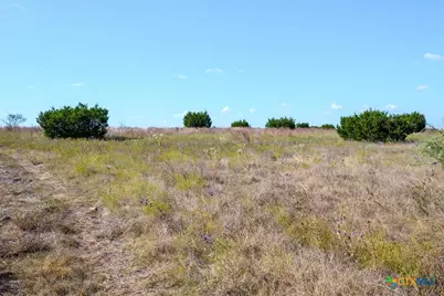 Tbd-61.63 Acres County Road 414, Jonesboro, TX 76538 - Photo 22