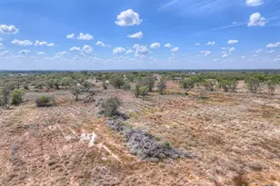 445 Single Oak Rd, Seguin, TX 78155 - Photo 28