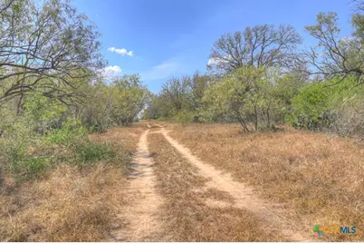 445 Single Oak Road, Seguin, TX 78155 - Photo 14