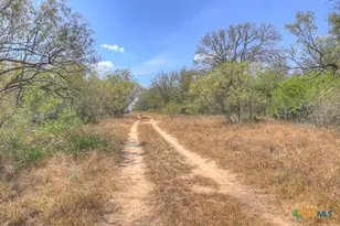 445 Single Oak Rd, Seguin, TX 78155 - Photo 14