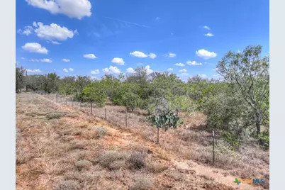 445 Single Oak Road, Seguin, TX 78155 - Photo 30
