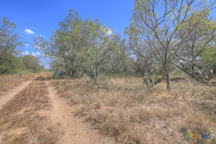 445 Single Oak Rd, Seguin, TX 78155 - Photo 10