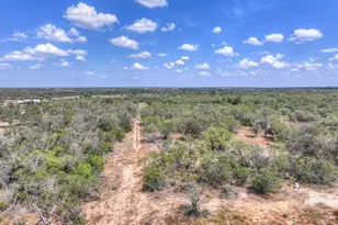 445 Single Oak Rd, Seguin, TX 78155 - Photo 32