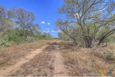 445 Single Oak Road, Seguin, TX 78155 - Photo 12