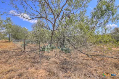 445 Single Oak Road, Seguin, TX 78155 - Photo 16