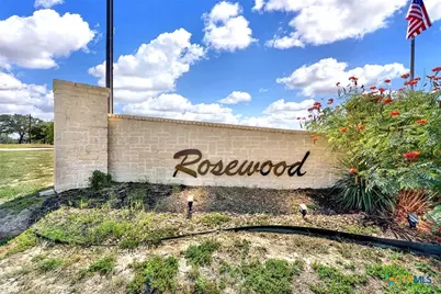 383 Rosewood Drive, La Vernia, TX 78121 - Photo 38