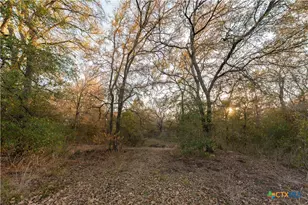 164 Josie Ln, Bastrop, TX 78602 - Photo 26