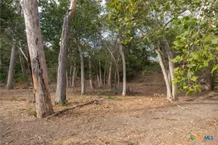 114 Navajo Trail, Seguin, TX 78155 - Photo 14