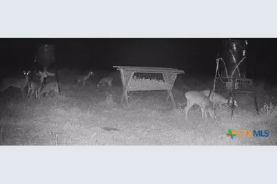 55 Lassman Road, Goliad, TX 77963 - Photo 16