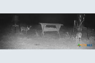 55 Lassman Road, Goliad, TX 77963 - Photo 12