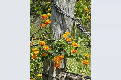 1912 Seminole Trail, Dale, TX 78616 - Photo 28