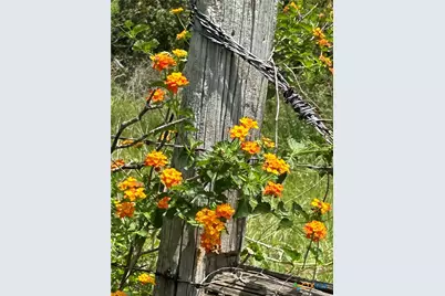 1912 Seminole Trail, Dale, TX 78616 - Photo 28