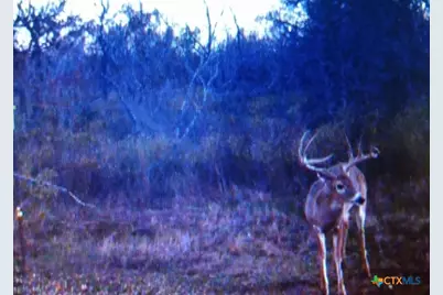 1912 Seminole Trail, Dale, TX 78616 - Photo 24