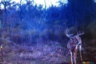 1912 Seminole Trail, Dale, TX 78616 - Photo 24