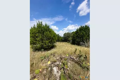 Tbd Lot 3 Royal Eagle Dr., Fischer, TX 78623 - Photo 6