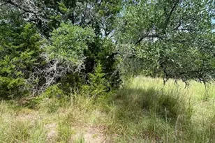 Tbd Lot 3 Royal Eagle Dr, Fischer, TX 78623 - Photo 1