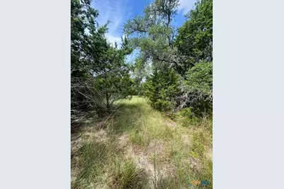 Tbd Lot 3 Royal Eagle Dr., Fischer, TX 78623 - Photo 2