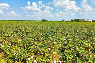 0000 North Baker Rd, Guy, TX 77444 - Photo 12