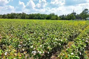 0000 North Baker Rd, Guy, TX 77444 - Photo 14