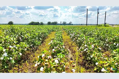 0000 North Baker Road, Guy, TX 77444 - Photo 8