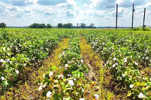 0000 North Baker Rd, Guy, TX 77444 - Photo 8