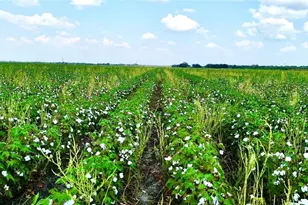 0000 North Baker Rd, Guy, TX 77444 - Photo 2