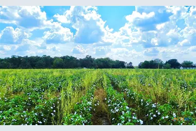 0000 North Baker Road, Guy, TX 77444 - Photo 6
