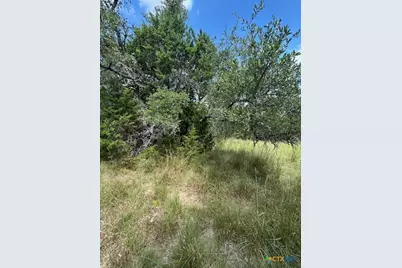 Tbd Lot 4 Royal Eagle Dr, Fischer, TX 78623 - Photo 10