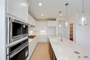 203 Bodensee Pl, New Braunfels, TX 78130 - Photo 4