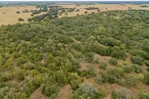 1078 Mueller Lang Rd, Cuero, TX 77954 - Photo 4