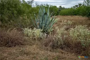 1078 Mueller Lang Rd, Cuero, TX 77954 - Photo 14