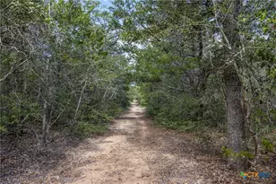 2135/2025 Mule Creek Rd, Harwood, TX 78632 - Photo 26