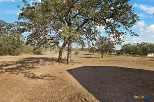 25 County Rd 427, Stockdale, TX 78160 - Photo 12