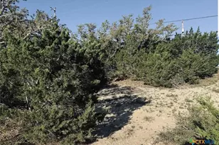 1111 Rocky Ridge Loop, Canyon Lake, TX 78133 - Photo 1