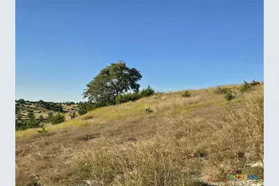 229 Grand Canyon Drive, Oglesby, TX 76561 - Photo 8