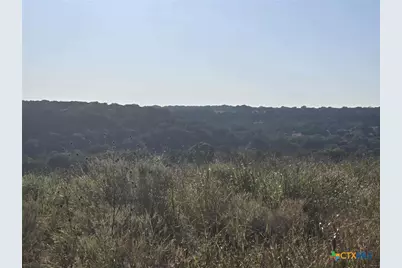 229 Grand Canyon Drive, Oglesby, TX 76561 - Photo 10