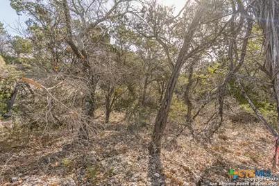 126 Riddle, Spring Branch, TX 78070 - Photo 12