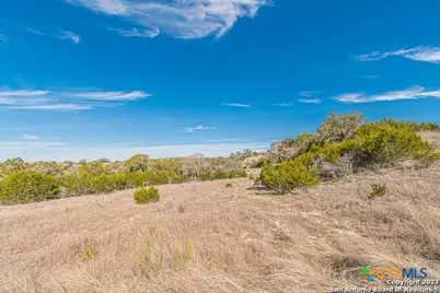 126 Riddle, Spring Branch, TX 78070 - Photo 8