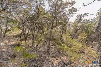 126 Riddle, Spring Branch, TX 78070 - Photo 10