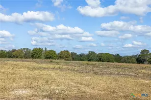 2135-2025 Mule Creek Rd, Harwood, TX 78632 - Photo 2