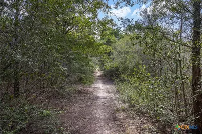 2135-2025 Mule Creek Road, Harwood, TX 78632 - Photo 26