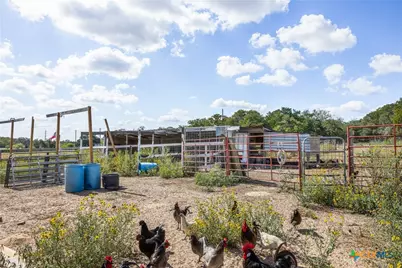 2135 Mule Creek Road, Harwood, TX 78632 - Photo 14