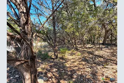 1219 Songbird Drive, Canyon Lake, TX 78133 - Photo 26