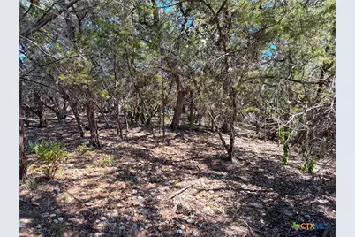 1219 Songbird Drive, Canyon Lake, TX 78133 - Photo 24