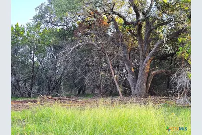 728 Cr 206, Lampasas, TX 76550 - Photo 6