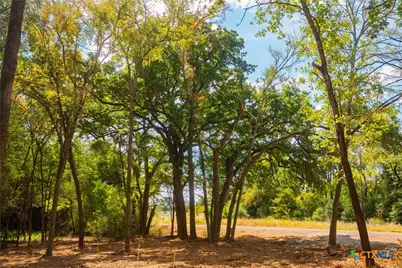 5131 N State Highway, Hearne, TX 77859 - Photo 8